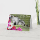 Sök efter djur dikt kort Sällskapsdjur