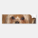 Sök efter yorkie bildekaler Rikligt