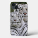 Sök efter tiger ipad skal Djur