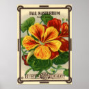 Sök efter kärna posters Blommor