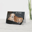 Sök efter resväska kort Hundar