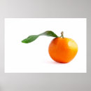 Sök efter sunt posters Frukt