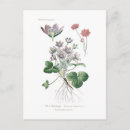 Sök efter anemoner vykort Blommigt