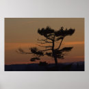 Sök efter perspektiv posters Natur