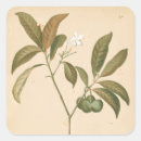 Sök efter tyg klistermärken Textilier