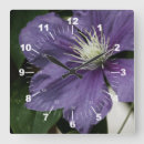 Sök efter clematis konst Natur