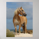 Sök efter haflinger konst Strand