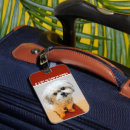 Sök efter min shih tzu accessoarer Hundar