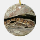 Sök efter orm julgransprydnader Natur