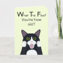 Sök efter rolig katt födelsedagskort Människor (allmänt)