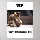 Sök efter gul katt posters Människor (allmänt)