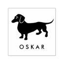 Sök efter taxhund For pets