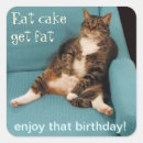 Sök efter fet katt För alla