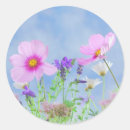 Sök efter rosa blommigt hobbymaterial Blommor