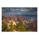 Sök efter rim posters Arizona