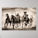Sök efter western häst posters Fotografi