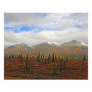 Sök efter alaska foto Natur