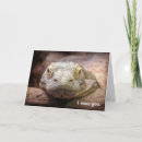 Sök efter dragon fotografi Replik