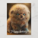 Sök efter lejon hund För honom