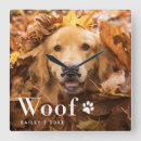 Sök efter gullig hund konst For pets