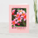 Sök efter rosa plumeria kort Flora