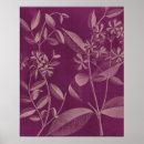 Sök efter orchid posters Botaniska