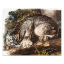 Sök efter målad katt posters Vintage