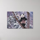 Sök efter fauna konst Panda