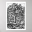 Sök efter antika botaniska tryck konst Människor (allmänt)