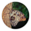 Sök efter vilda djur och knoppar handtag För henne