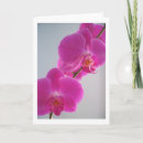 Sök efter rosa orchid kort Rosor