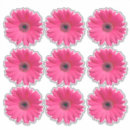 Sök efter rosa gerbera klistermärken Blomma