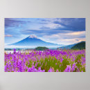 Sök efter mt fuji posters Yamanashi prefektur