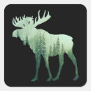 Sök efter älg klistermärken Skog