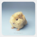 Sök efter stäng dörren klistermärken Kvadrat