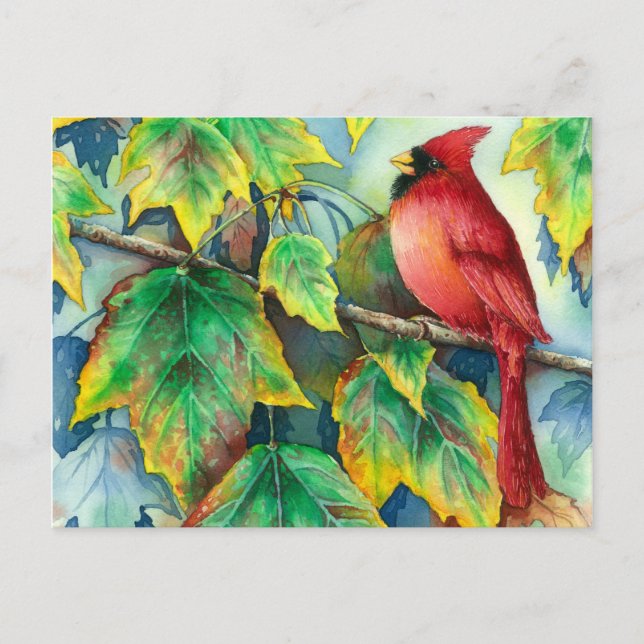 0004 Kardinalvykort Vykort (Framsida)