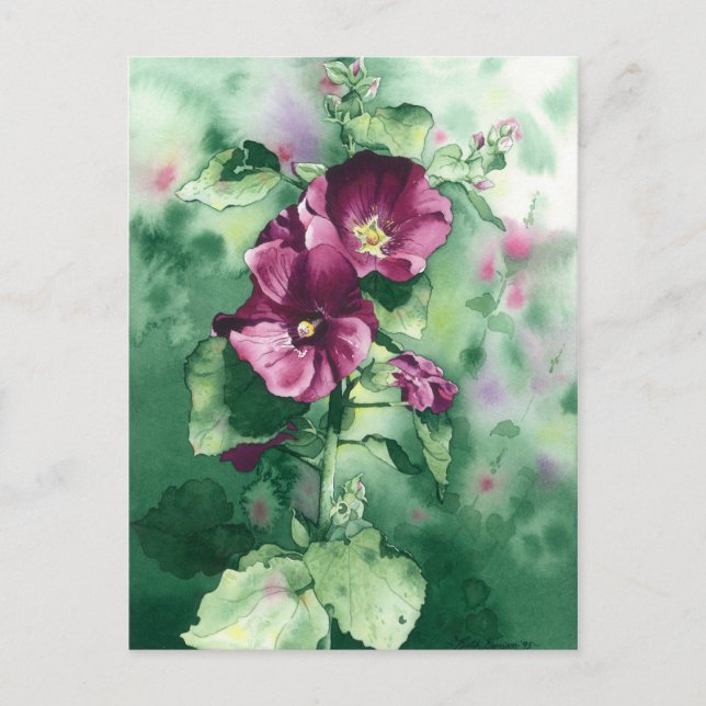 0007 Dorothys Hollyhocks Postcard Vykort (Framsida)