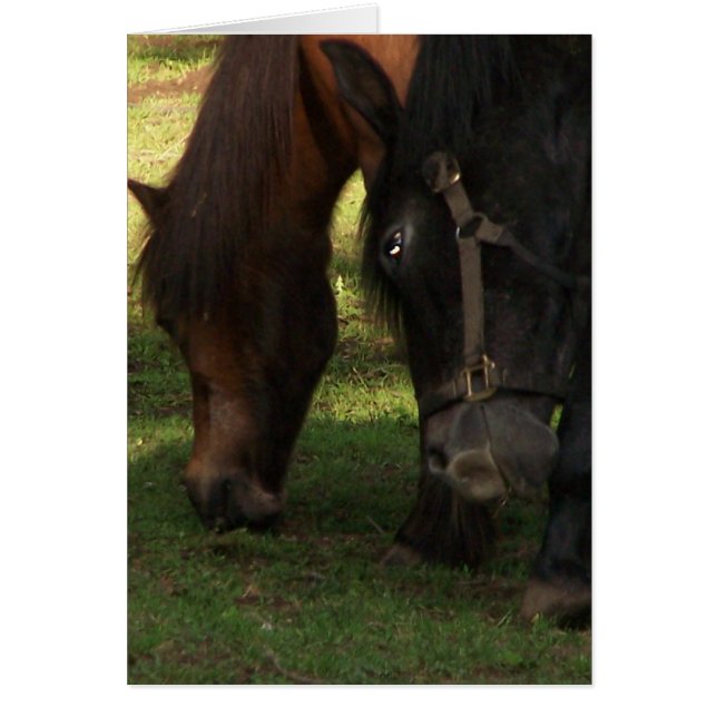 000_0366 HÄLSNINGSKORT (Framsidan)