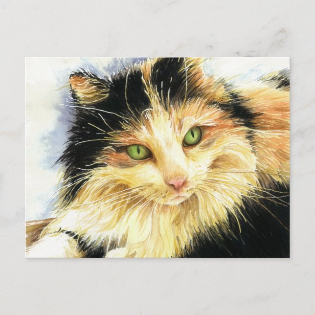 0010 Calico Cat Vykort (Framsida)