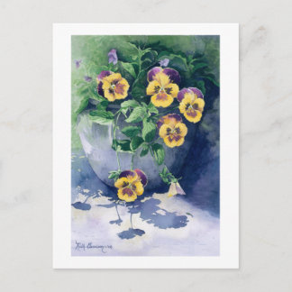 0011 Pansies in Planter Vykort
