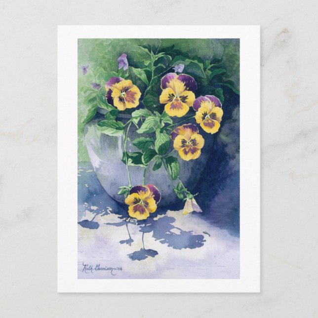 0011 Pansies in Planter Vykort (Framsida)