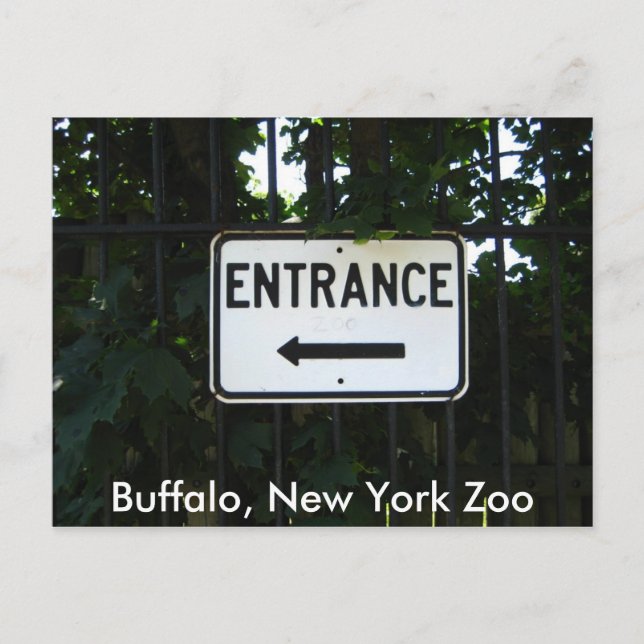 001, Buffalo, New York Zoo Vykort (Framsida)