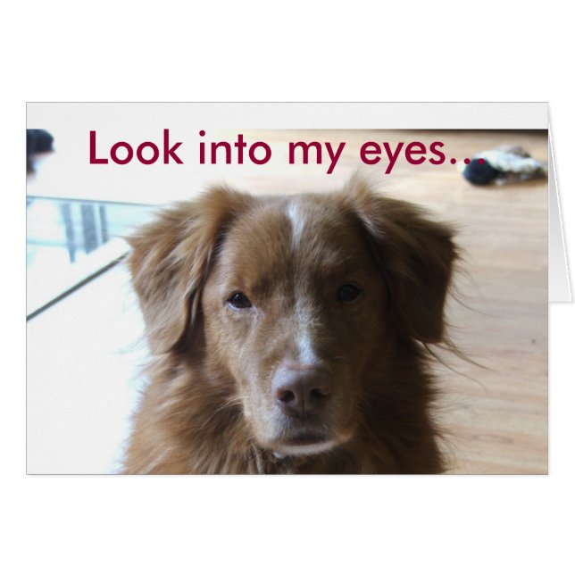 0029, titta på ögon... hälsningskort (Framsidan Horizontal)