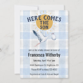 003 Cobalt 020 Fog Sun Plaid Stork Baby Shower Inbjudningar