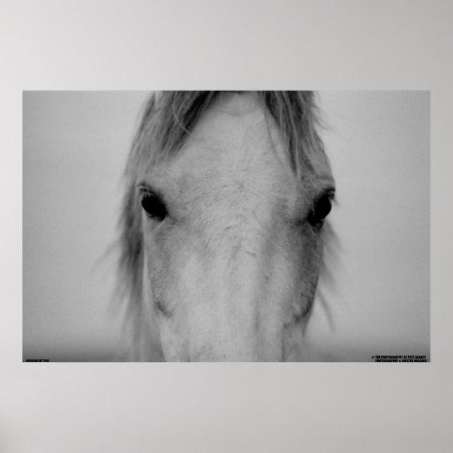 003 POSTER (Framsidan)