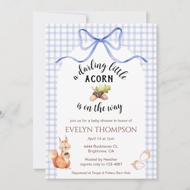 004 Indigo Cute Squirrel Acorn Gingham Baby Shower Inbjudningar (Framsida)