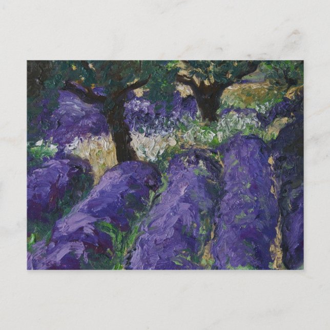 0063-lavendelfältet vykort (Framsida)