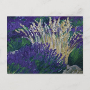 0071-le fältet av lavendel vykort