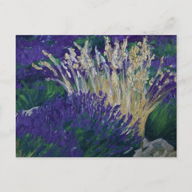 0071-le fältet av lavendel vykort (Framsida)