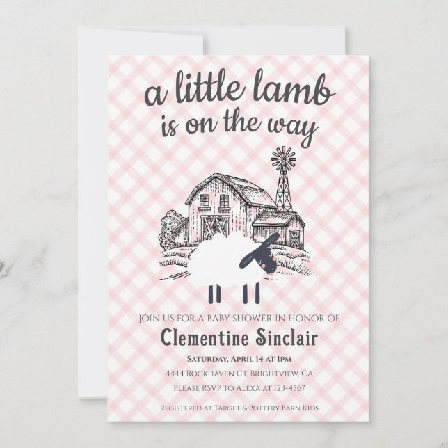 008 Blush A Little Lamb Farm Gingham Baby Shower Inbjudningar (Framsida)